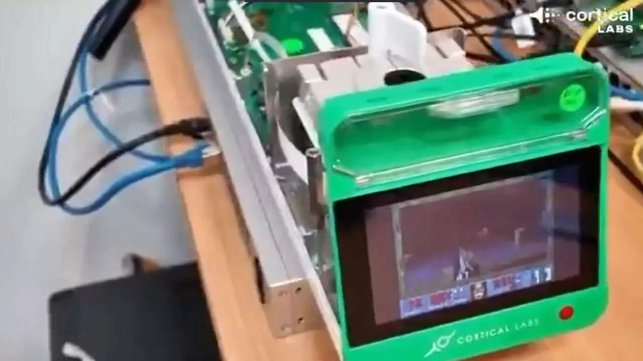 Una placa de Petri aprende a jugar a DOOM: científicos logran que neuronas vivas controlen el mítico shooter