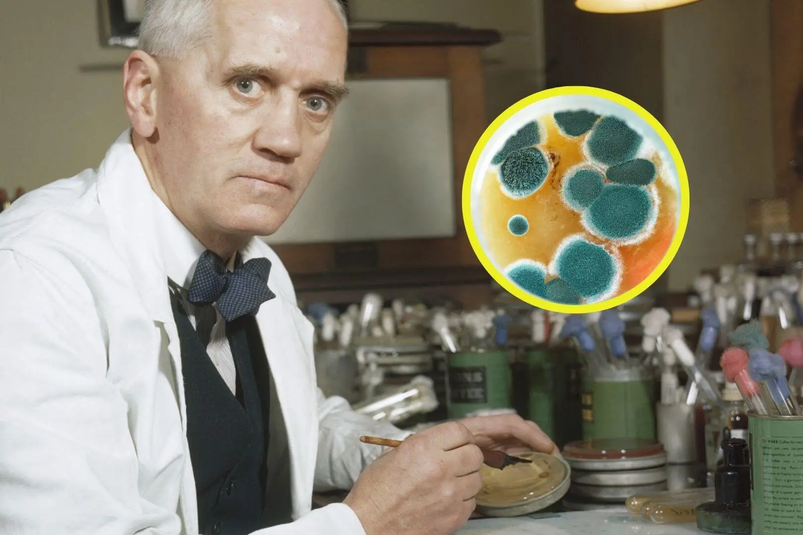 28 de septiembre de 1928: Alexander Fleming encuentra un moho peculiar en su placa y descubre por accidente el primer antibiótico, revolucionando la medicina